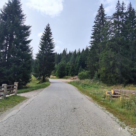 Vila Carobna Suma Tara Bajina Basta Bagian luar foto